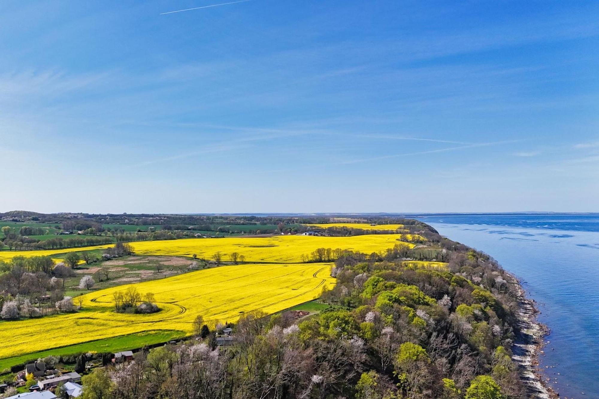 Ferienwohnung Mit Traumhaftem Meerblick - Haus Am Meer Fewo 11 Lohme Buitenkant foto